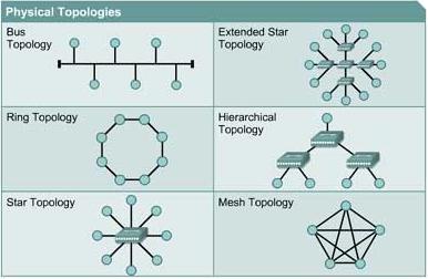 topologi